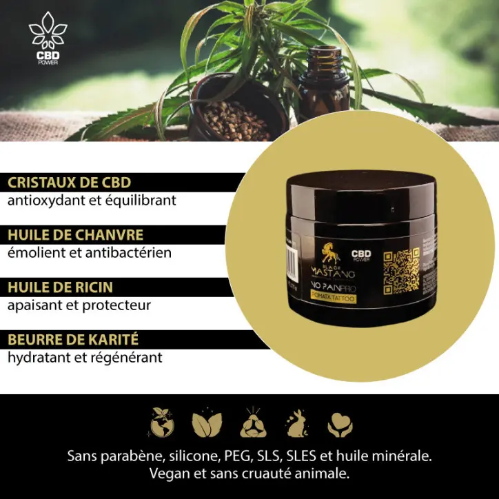 no-pain-pro (1).webp