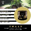 no-pain-pro (1).webp